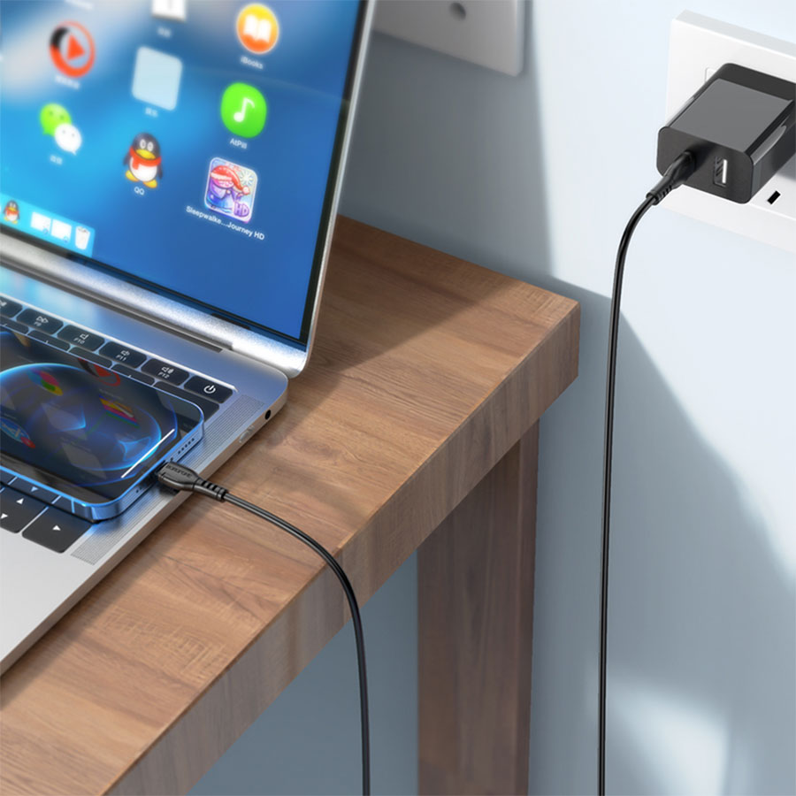 Кабель USB-C BOROFONE BX51 Triumph Type-C - Lightning, 2.4А, 1 м, черный фото