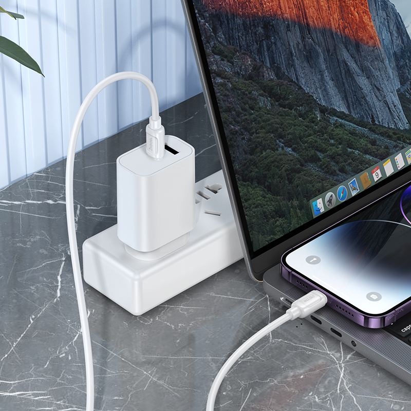 Кабель USB-C HOCO X115 Surpass Type-C - Lightning, 27W, 1 м, белый фото