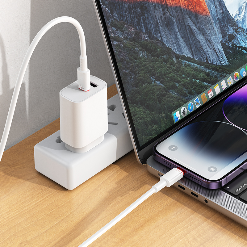 Кабель USB-C BOROFONE BX110 Beneficio Type-C - Lightning, 27W, 1 м, белый фото