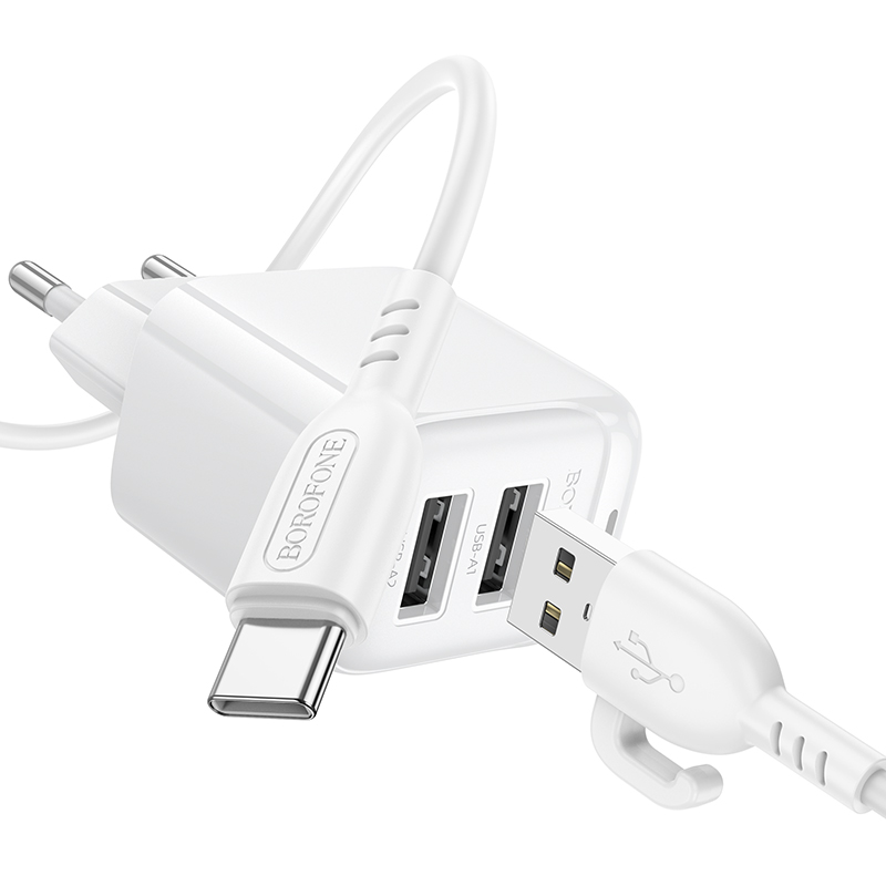 Сетевое зарядное устройство BOROFONE BAS41A Potential 2xUSB с Кабелем USB - Type-C, 2A, белый фото