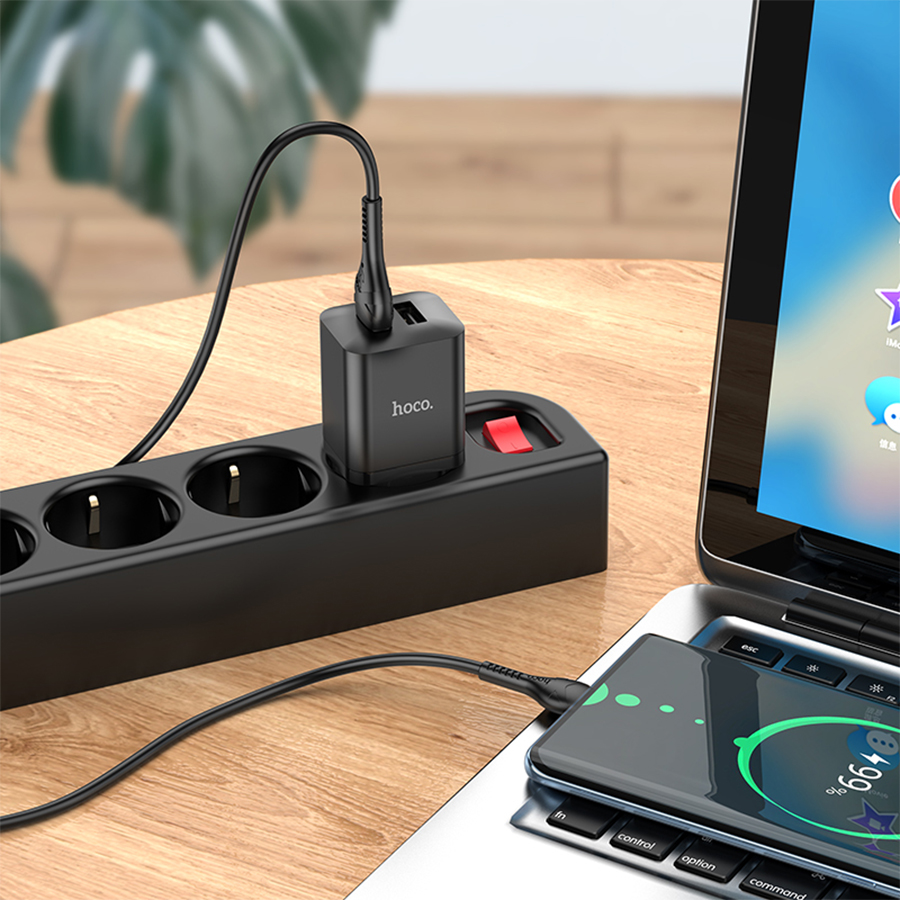 Сетевое зарядное устройство HOCO N25 Maker 2xUSB с Кабелем USB - Type-C, 2.1A, 10W, черный фото