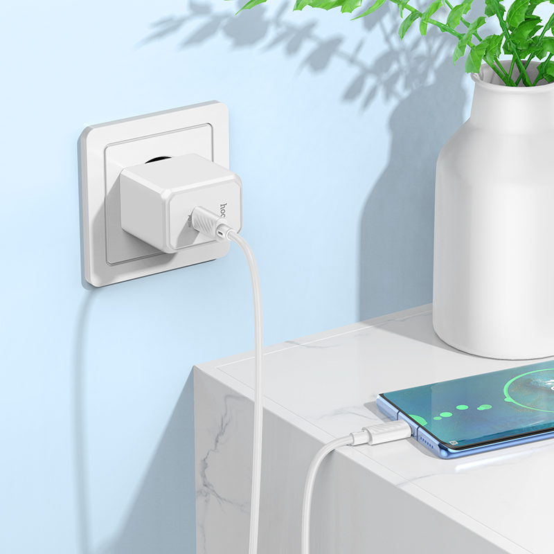 Сетевое зарядное устройство HOCO CS13A Ocean 1xUSB-C с Кабелем Type-C - Type-C, 20W, белый фото