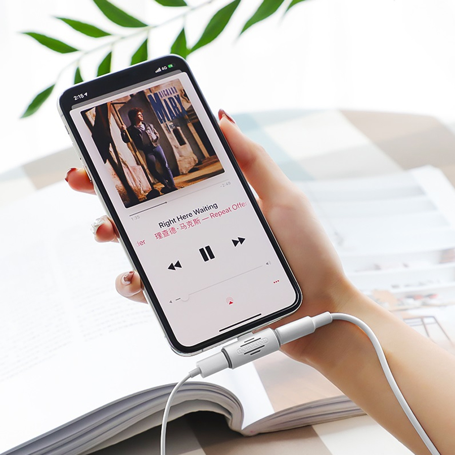 Переходник/Адаптер BOROFONE BV6 Comfortable 2 в 1 Lightning (m) - Dual Lightning (f), белый фото