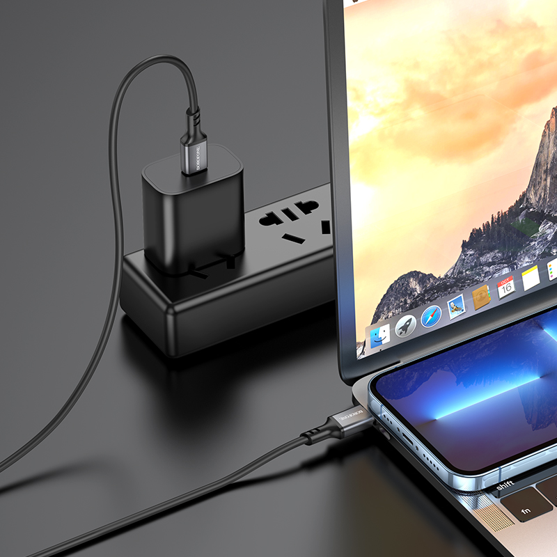 Кабель USB-C BOROFONE BX83 Famous Type-C - Type-C, 3A, 60W, 1 м, черный фото