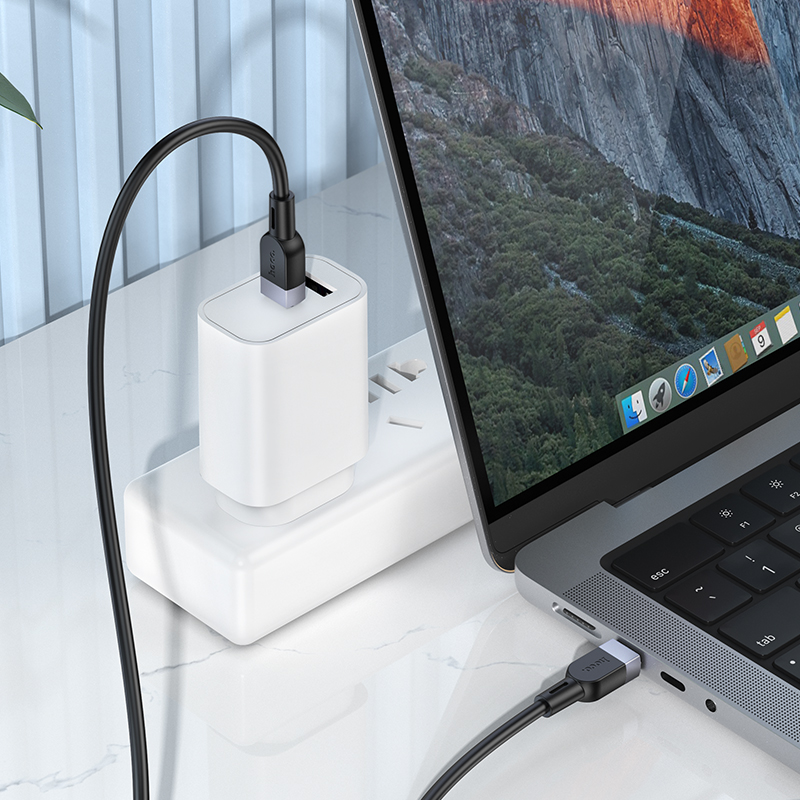 Кабель USB-C HOCO X109 Energy  Type-C - Type-C, 3A, 60W, 1 м, черный фото