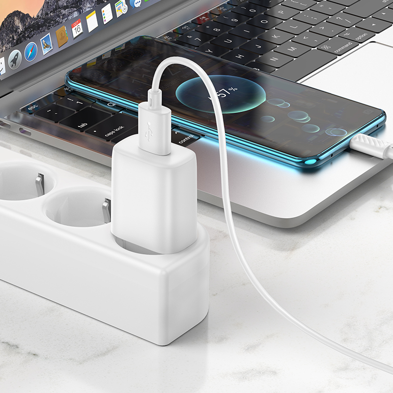 Сетевое зарядное устройство HOCO C134A Solid 1xUSB с Кабелем USB - Type-C, 2.4A, белый фото