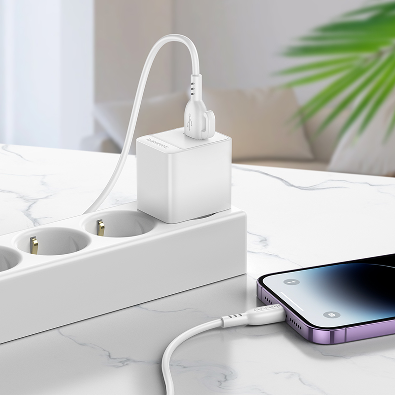Сетевое зарядное устройство BOROFONE BAS11A Erudite 1xUSB с Кабелем USB - Lightning, 2.1A, белый фото