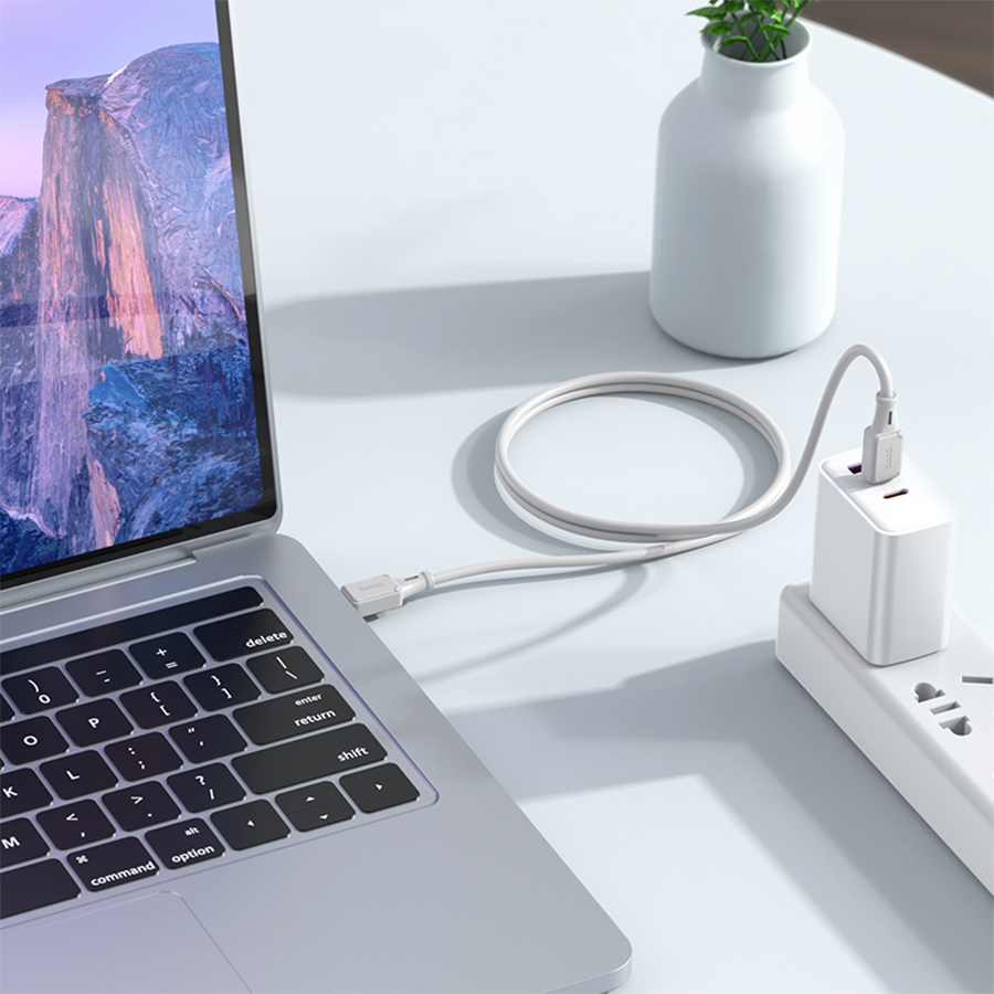 Кабель USB-C HOCO X101 Assistant Type-C - Type-C, 3A, 60W, 1 м, серый фото