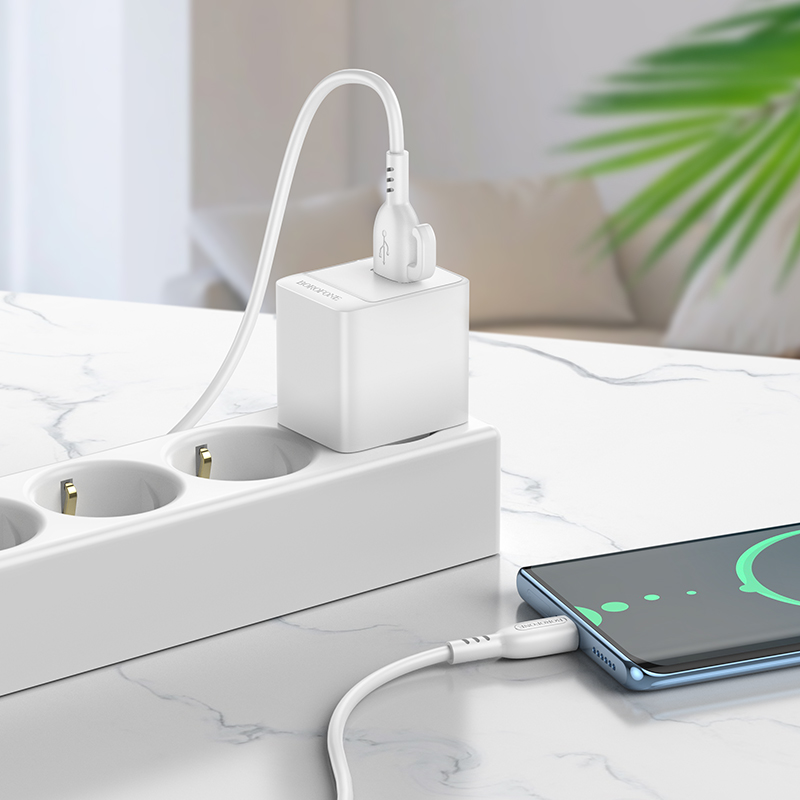 Сетевое зарядное устройство BOROFONE BAS11A Erudite 1xUSB с Кабелем USB - Type-C, 2.1A, белый фото