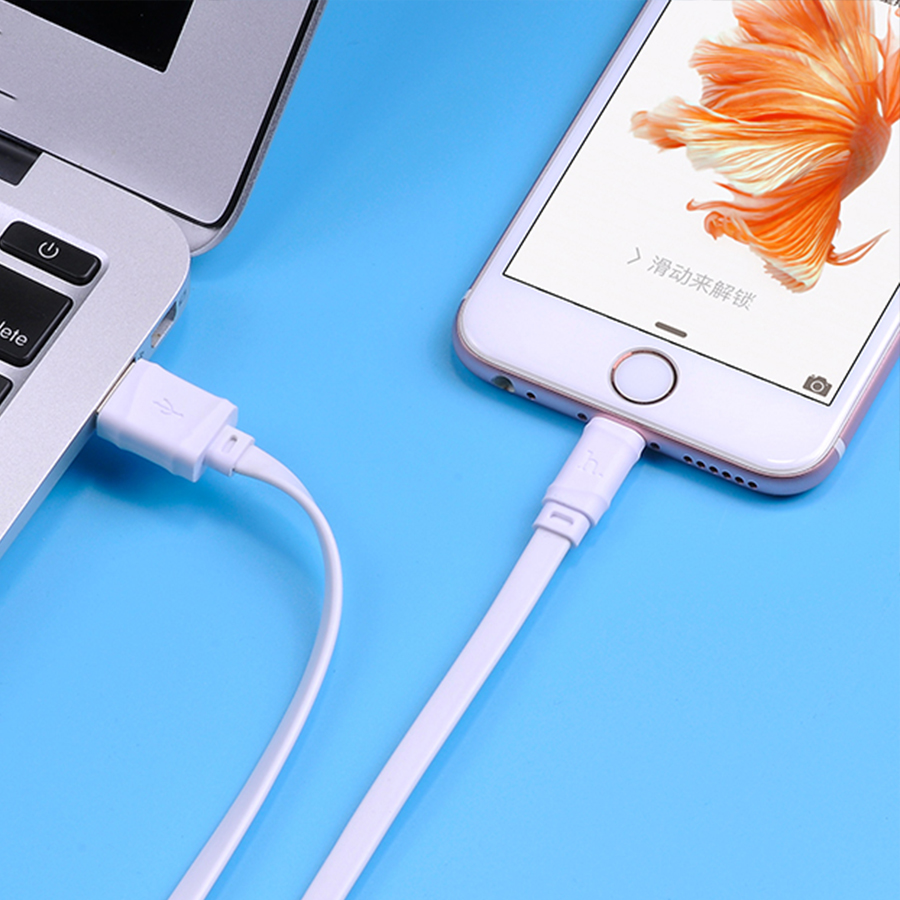 Кабель USB HOCO X5 Bambo USB - Lightning, 2.4А, 1 м, белый фото