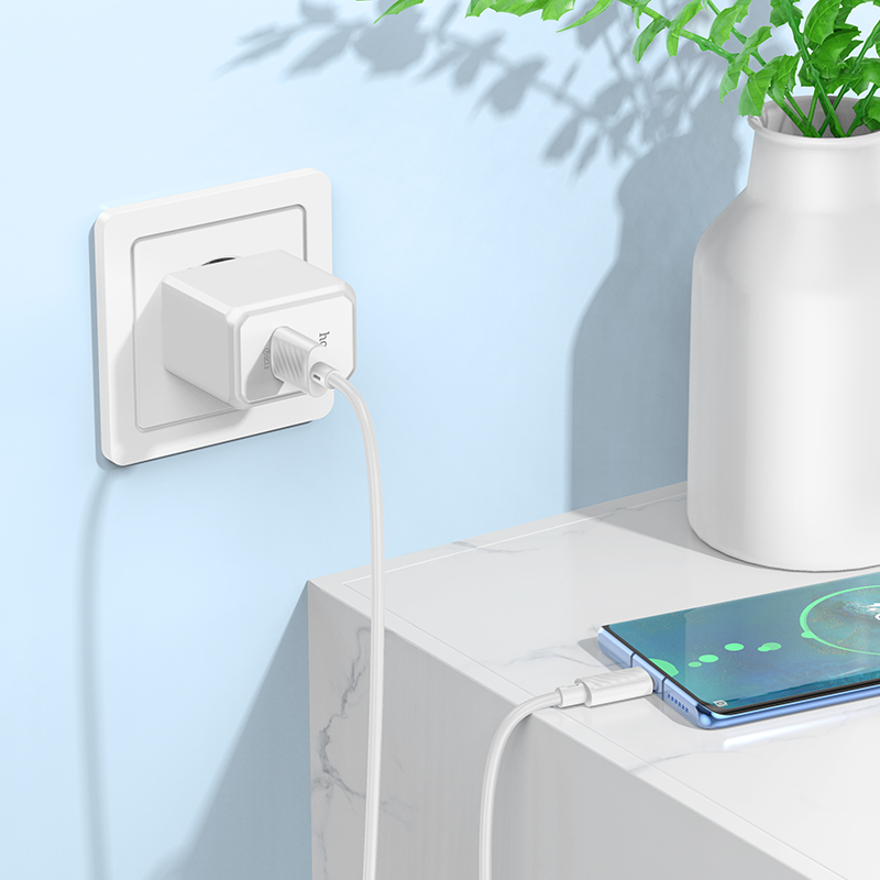 Сетевое зарядное устройство HOCO CS12A Ocean 1xUSB с Кабелем USB - Type-C, 18W, белый фото