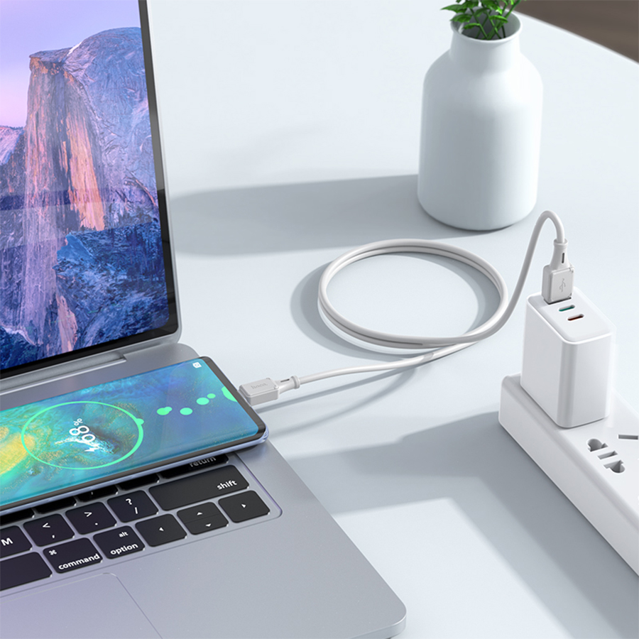 Кабель USB HOCO X101 Assistant USB - Type-C, 3A, 1 м, серый оптом недорого с доставкой Кабель USB HOCO X101 Assistant USB - Type-C, 3A, 1 м, серый фото
