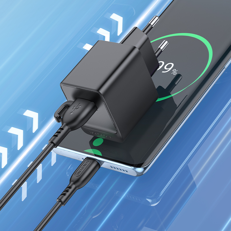 Сетевое зарядное устройство BOROFONE BAS11A Erudite 1xUSB, 2.1A, черный фото