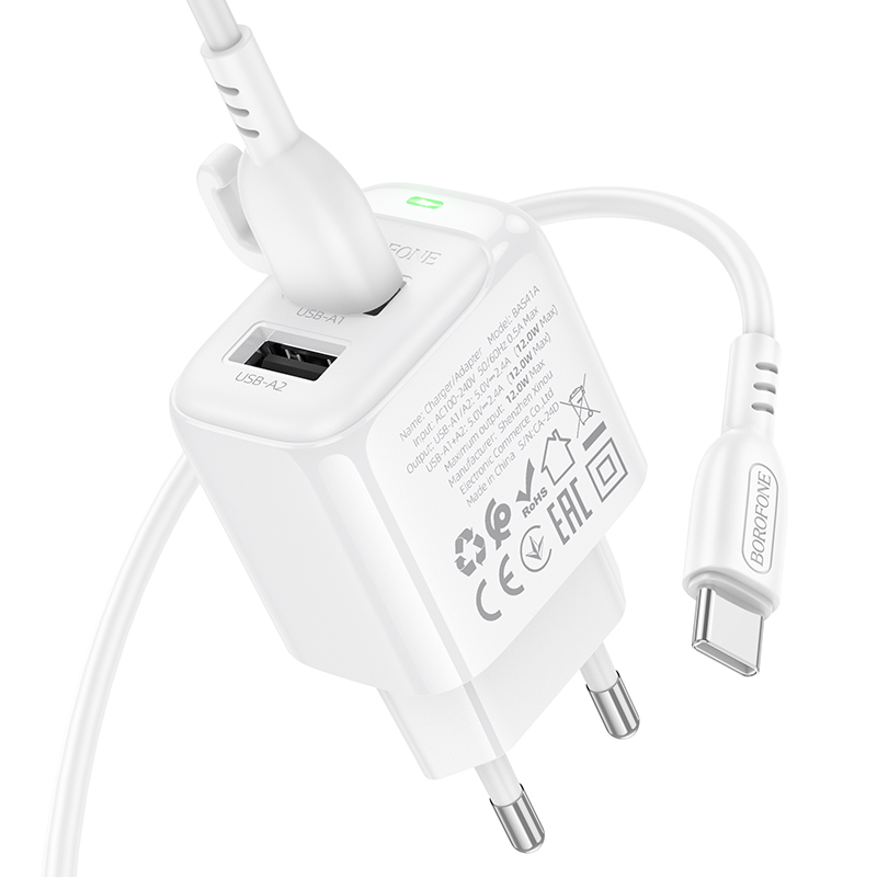 Сетевое зарядное устройство BOROFONE BAS41A Potential 2xUSB с Кабелем USB - Type-C, 2A, белый фото