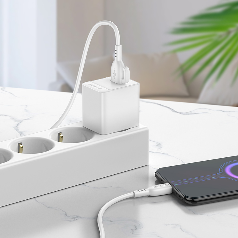 Сетевое зарядное устройство BOROFONE BAS11A Erudite 1xUSB, 2.1A, белый фото