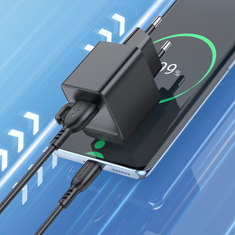 Сетевое зарядное устройство BOROFONE BAS11A Erudite 1xUSB с Кабелем USB - Type-C, 2.1A, черный фото