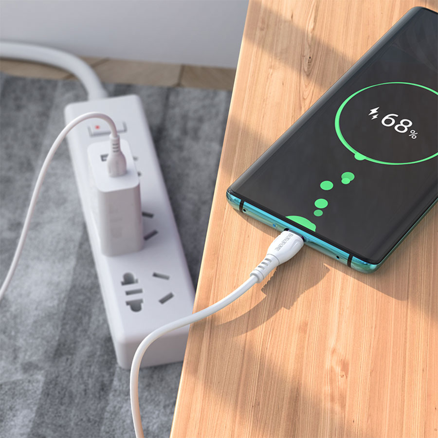 Кабель USB-C BOROFONE BX51 Triumph Type-C - Type-C, 3A, 60W, 1 м, белый фото