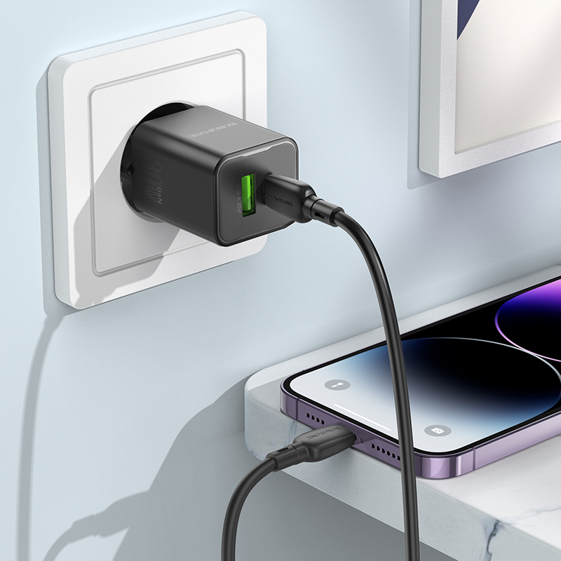 Сетевое зарядное устройство BOROFONE BN14 Royal 1xUSB + 1xUSB-C с Кабелем Type-C - Lightning, 3A, 30W, черный фото