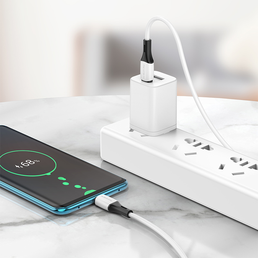 Кабель USB-C BOROFONE BX79 Type-C - Type-C, 3A, 60W, 1 м, белый фото