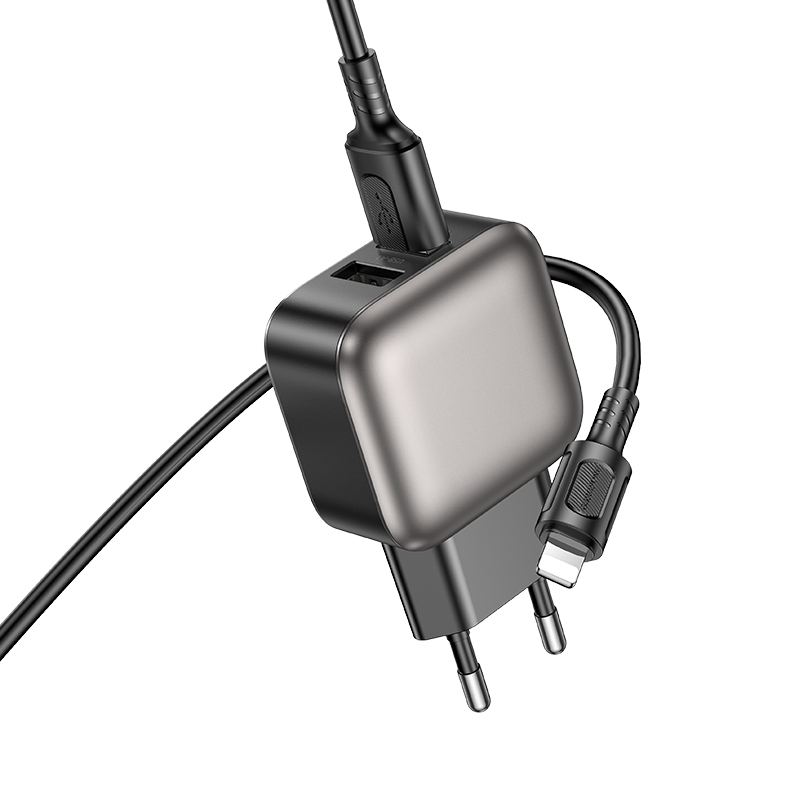 Сетевое зарядное устройство BOROFONE BAS51A Absolute 2xUSB с Кабелем USB - Lightning, 2.4A, черный фото
