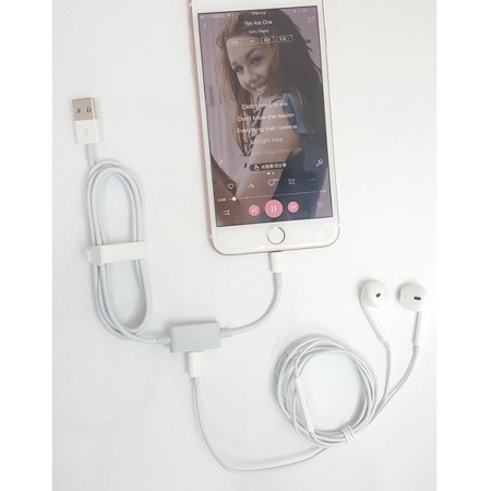 Переходник/Адаптер  MA066 2 в 1 USB (m) - Lightning (m) / Lightning (f), 1 м, белый фото