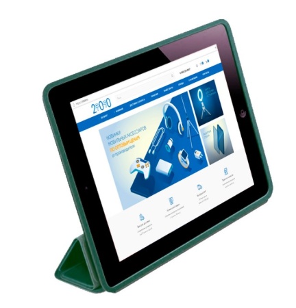 Чехол Smart Case для iPad 10 (10,9" 2022), сосновый зеленый (22) фото