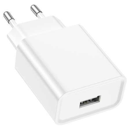 Сетевое зарядное устройство BOROFONE BA74A Aspirer 1xUSB, белый фото