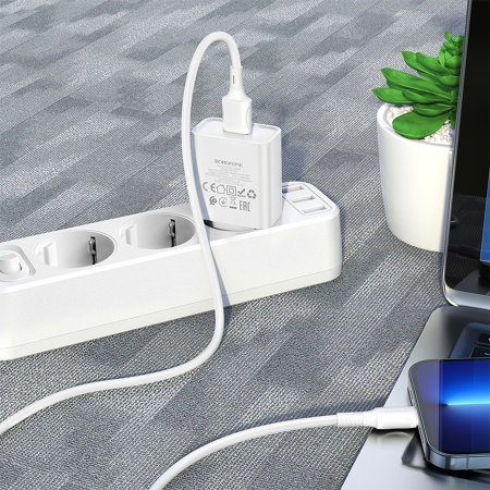 Сетевое зарядное устройство BOROFONE BA74A Aspirer 1xUSB, белый фото