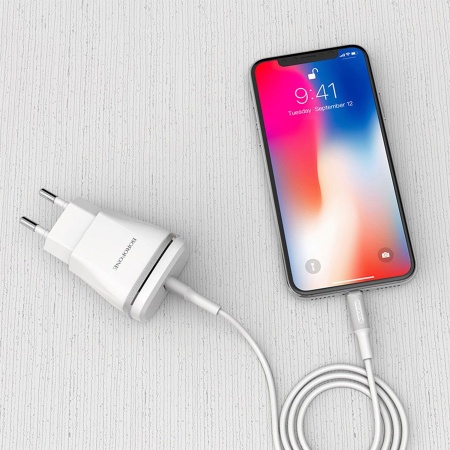 Сетевое зарядное устройство BOROFONE BA1A Joyplug 1xUSB с Кабелем USB - Lightning, 1A, белый фото